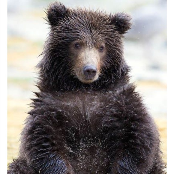 Meet your Posher, Liz - Picture 1 of 1